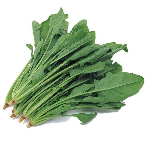 品味任丘 特色小吃與農副土特產的魅力